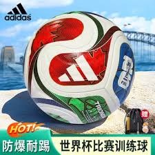 国安上港喜获2026赛季亚冠联赛准入执照
